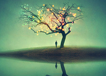 成本优化显著的呼死TA